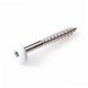 trespaschroeven-ral-9010-wit